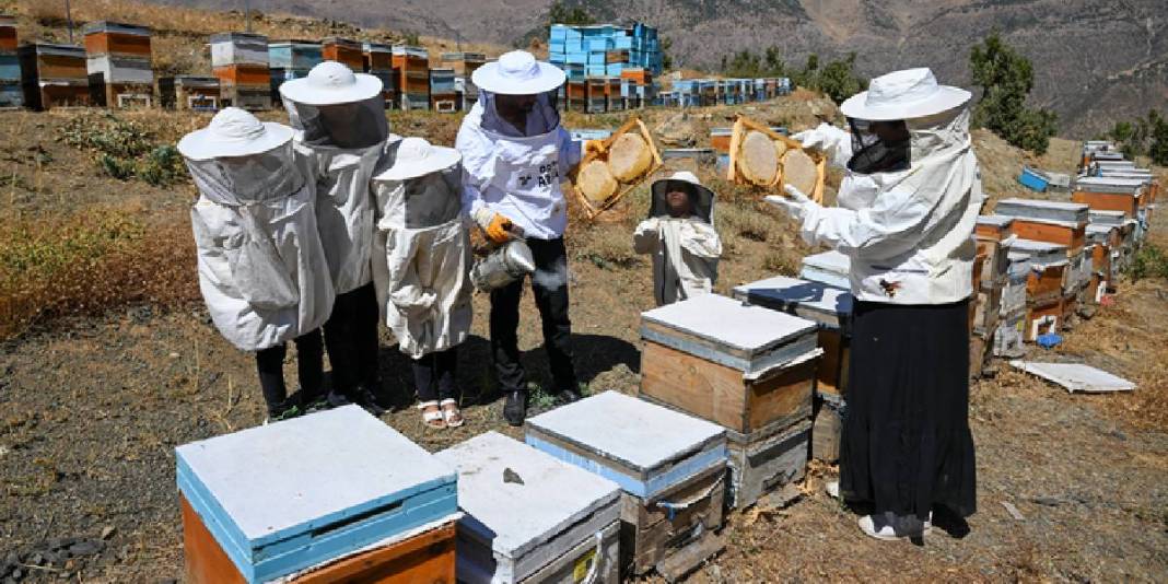 Şehirden kırsala yerleşip üretime geçtiler! 30 kovandan sayıları 350’ye çıktı: Yılda 2,5 ton üretim yapıyorlar 2